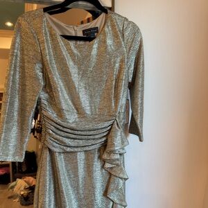 Shimmering Silver Long Sleeve Dress